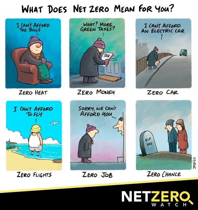 net-zero.jpeg